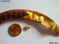 Locust bean